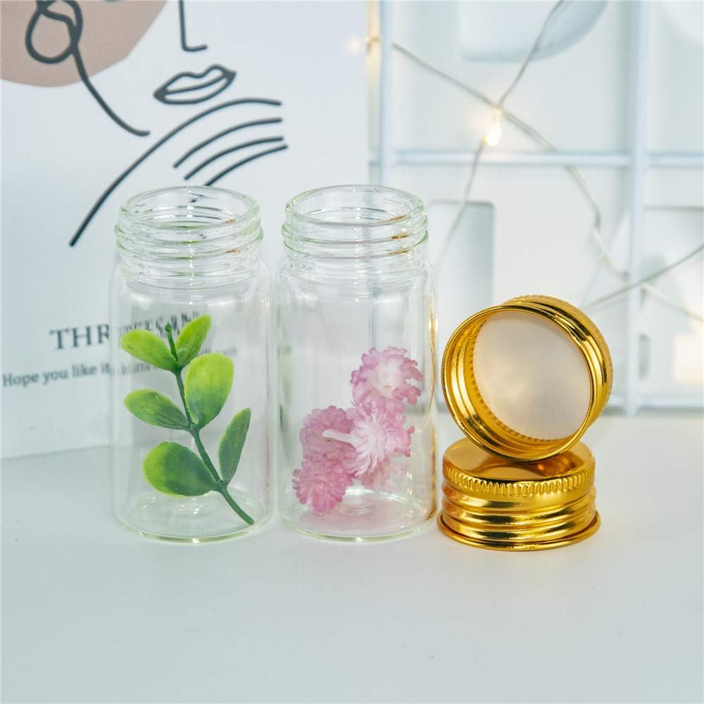 50PCS 5ML-100ML Mini Glass Tes - Art Craft Youtube review and price